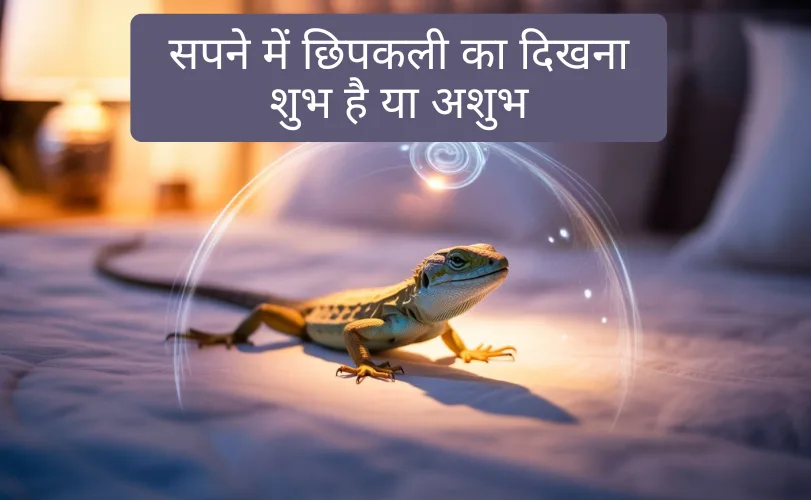 सपने में छिपकली का दिखना शुभ है या अशुभ