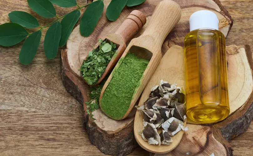 मोरिंगा पाउडर (सहजन)और पत्तियों के 10 प्रमुख हेल्थ बेनिफिट्स