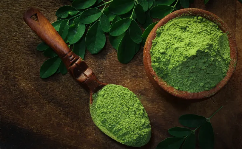 Moringa Powder Benefits in Hindi